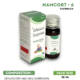 NAMCORT - 6