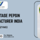 Fungal Diastase Pepsin Syrup Manufacturer India