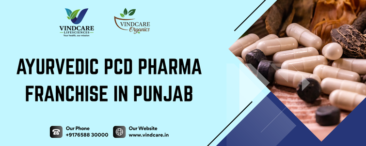Ayurvedic PCD Pharma Franchise in Punjab