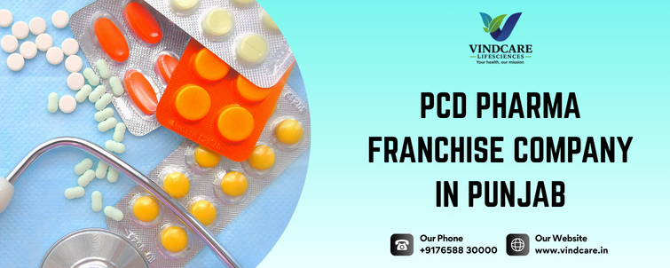 PCD Pharma Franchise Company in Punjab